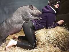 Bir çiftlikte en iyi kalitede lüks hayvanlarla cinsel ilişki